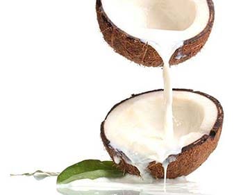 Receita para Tratamento Queda de Cabelo com Leite de Coco Natural Tratamento Queda de Cabelo com Leite de Coco Natural