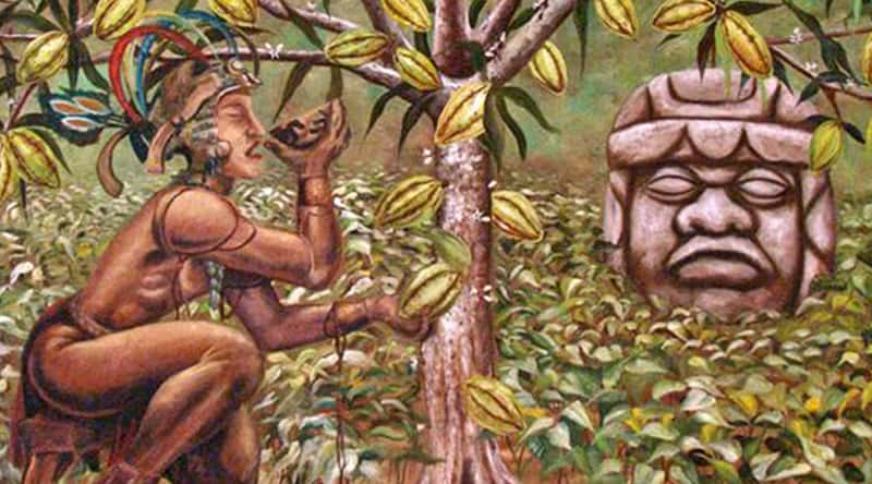 História do Cacau e Chocolate