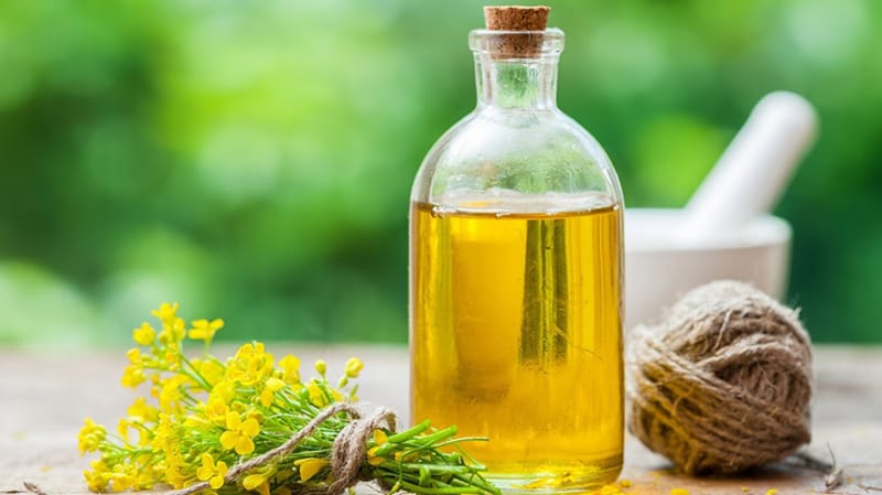 Óleo de canola faz bem? Serve para quê?