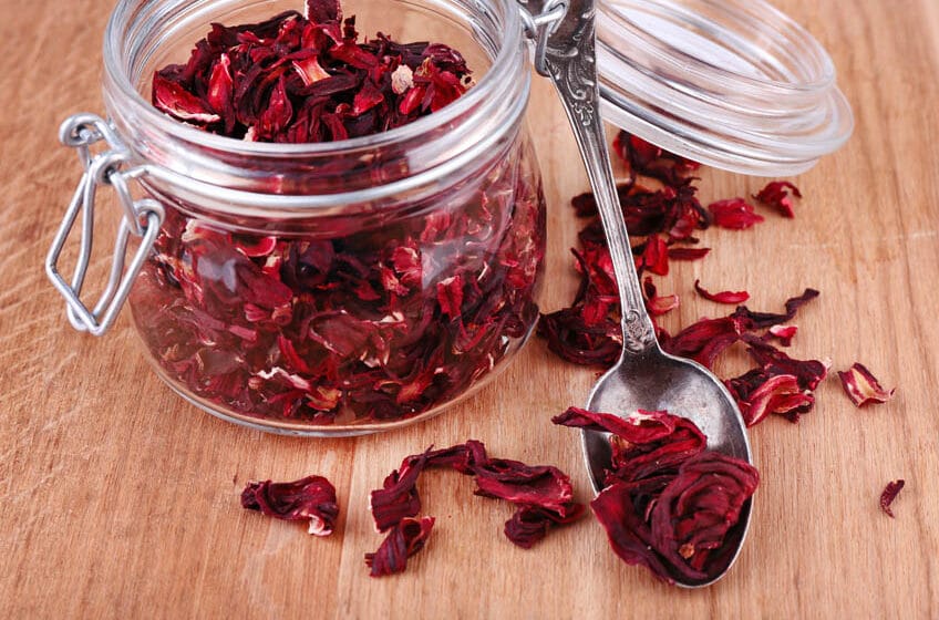 Chá de Hibisco (Hibiscus)