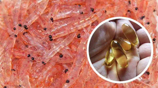 Óleo de Krill e seus Benefícios