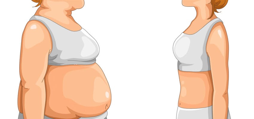 Quer Perder Peso? A Fórmula é Simples!