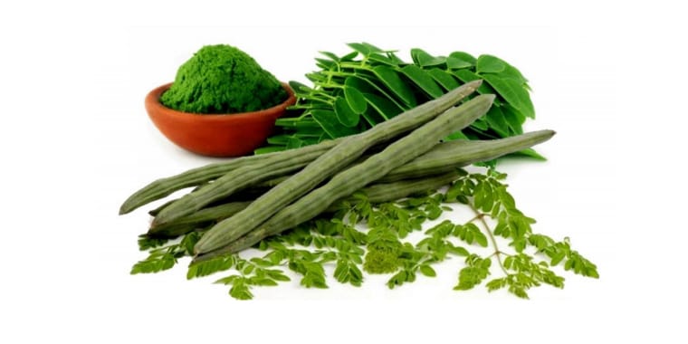 Chá de Moringa Oleifera: Para que Serve e os seus Benefícios?
