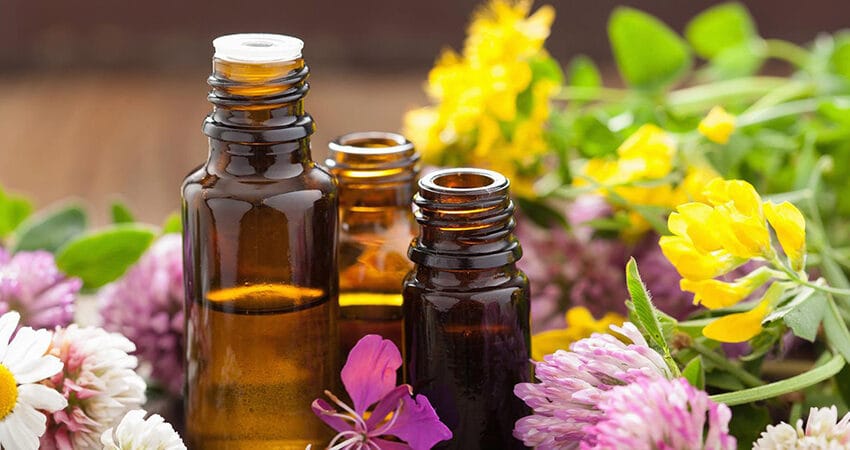 Florais para Ansiedade e Insônia