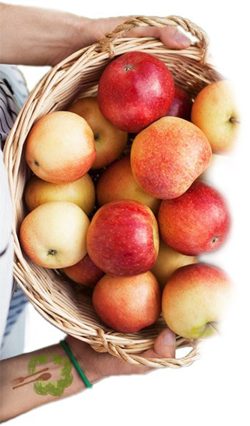 Melhores marcas de vinagre de maçã para emagrecer